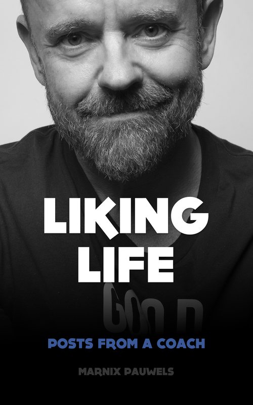 Omslag van Liking Life